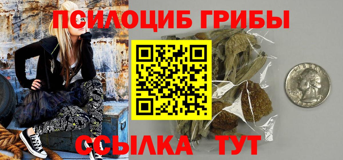 Каменск-Уральский  Галлюциногенные грибы Psilocybe  Псилоцибиновые грибы Magic Shrooms  Вход с VPN 